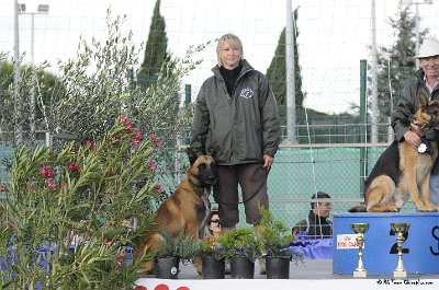 Remise des Prix 122.JPG - CHIENPLUS.COM